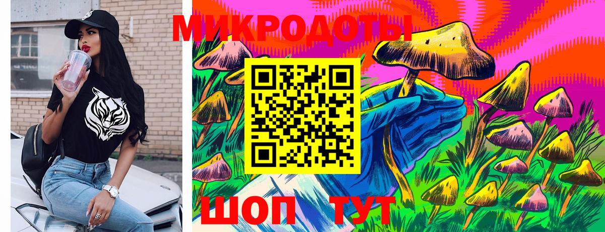 Псилоцибиновые грибы прущие грибы Кандалакша