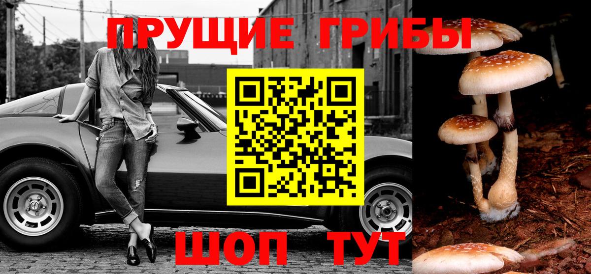 Кандалакша  Псилоцибиновые грибы мухоморы  Вход с VPN  Псилоцибиновые грибы Magic Shrooms 